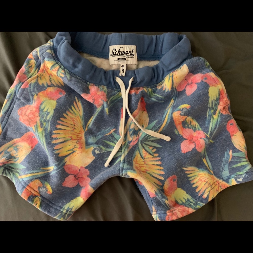 Chubbies sweatshirt material shorts